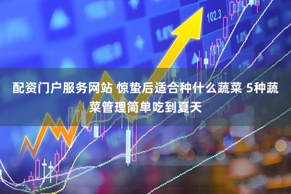 配资门户服务网站 惊蛰后适合种什么蔬菜 5种蔬菜管理简单吃到夏天