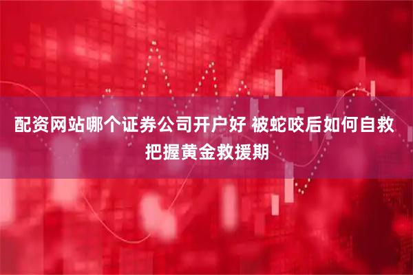 配资网站哪个证券公司开户好 被蛇咬后如何自救 把握黄金救援期